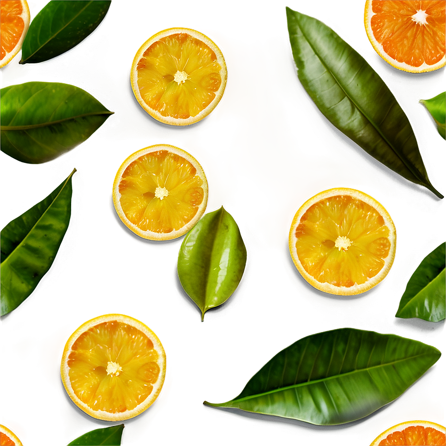 Citrus Leaves And Branches Png 17