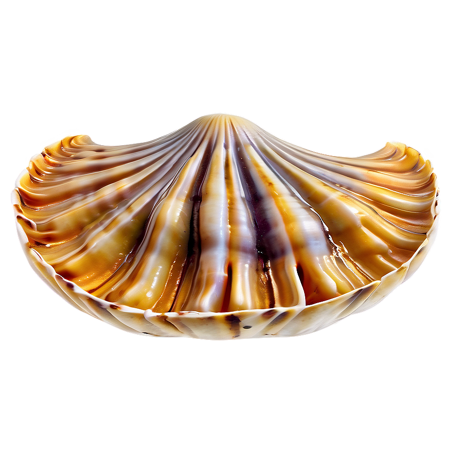 Clam In Ocean Water Png 76