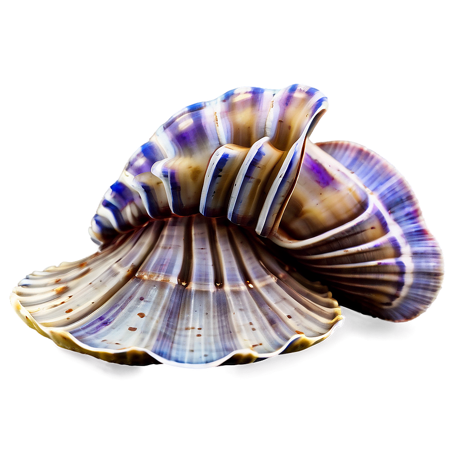 Clam With Coral Reef Background Png 05242024