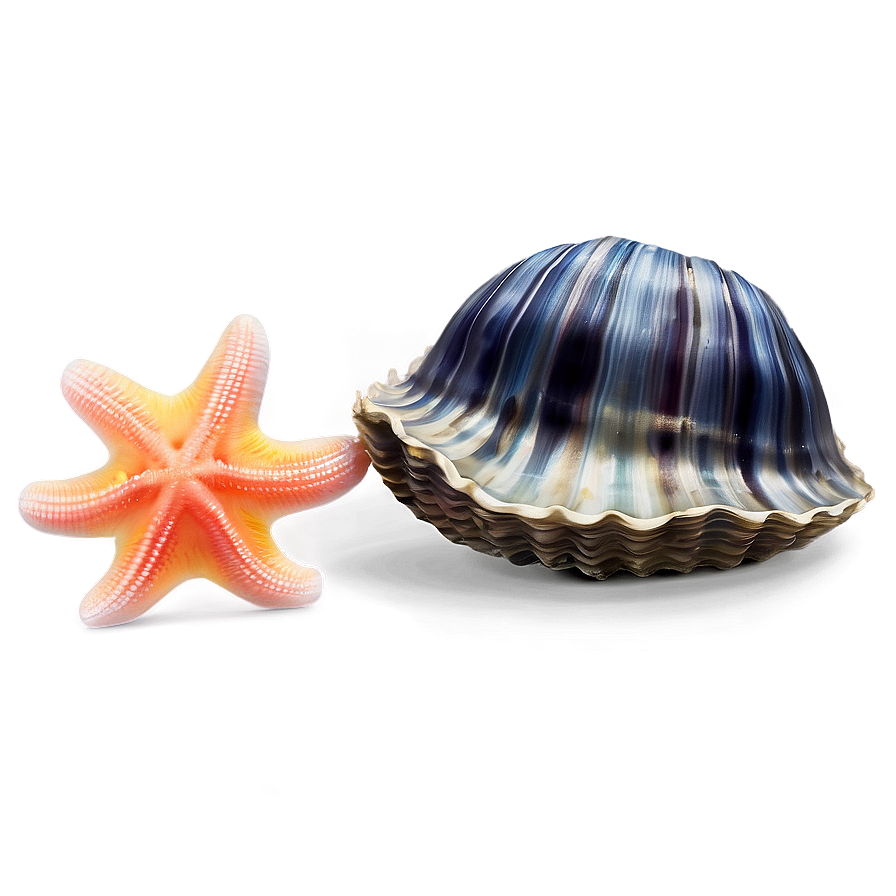 Clam With Starfish Png Jnm