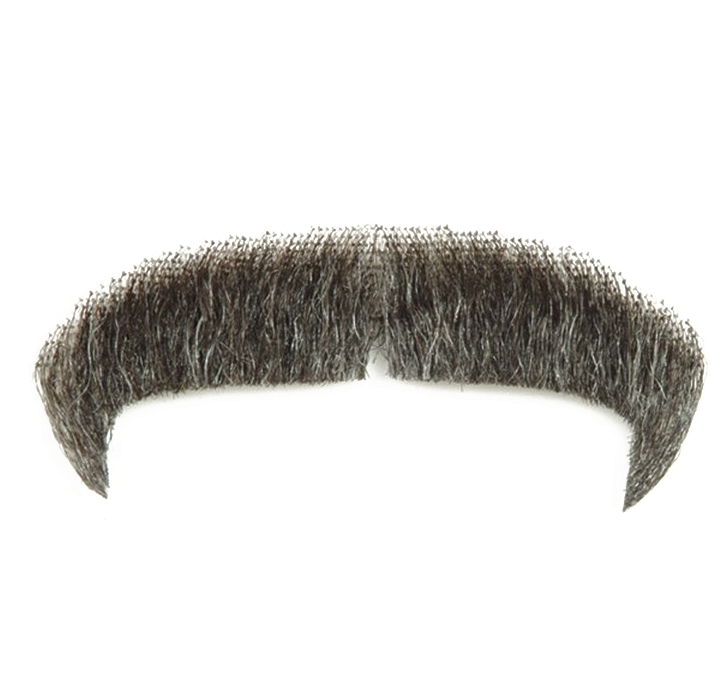 Classic Black Moustache Isolated