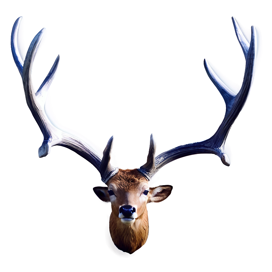 Classic Deer Antler Image Png 06122024