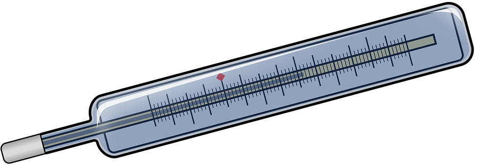 Classic Mercury Thermometer