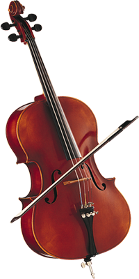 Classic Violin With Bow