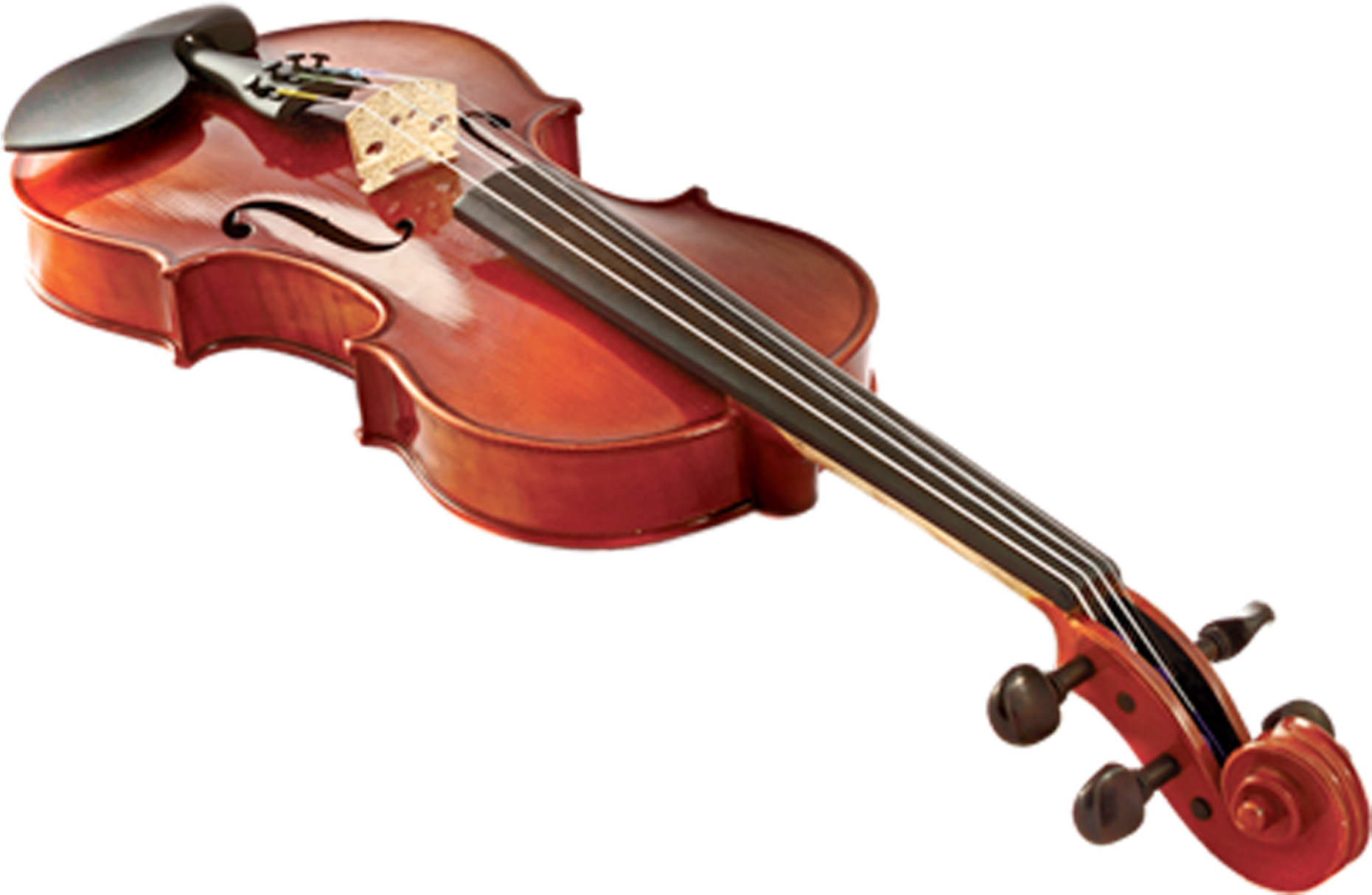 Classic Violinon White Background.png