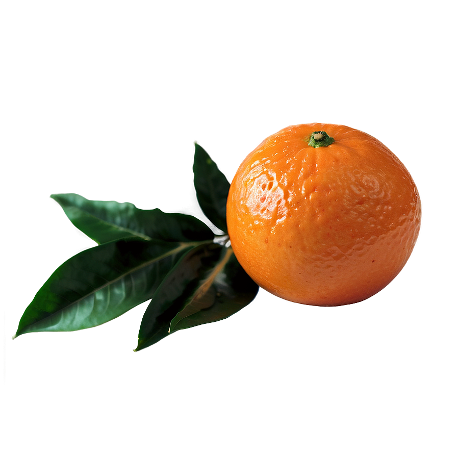 Clementine Half Cut Png 21