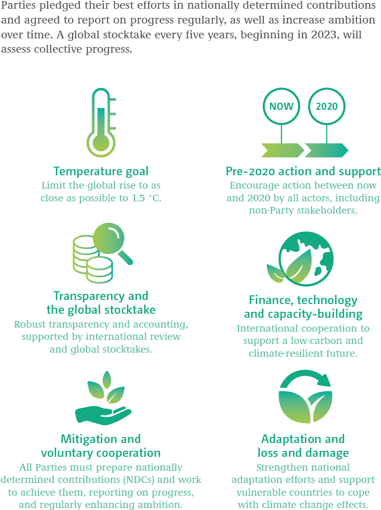 Climate_ Action_ Infographic