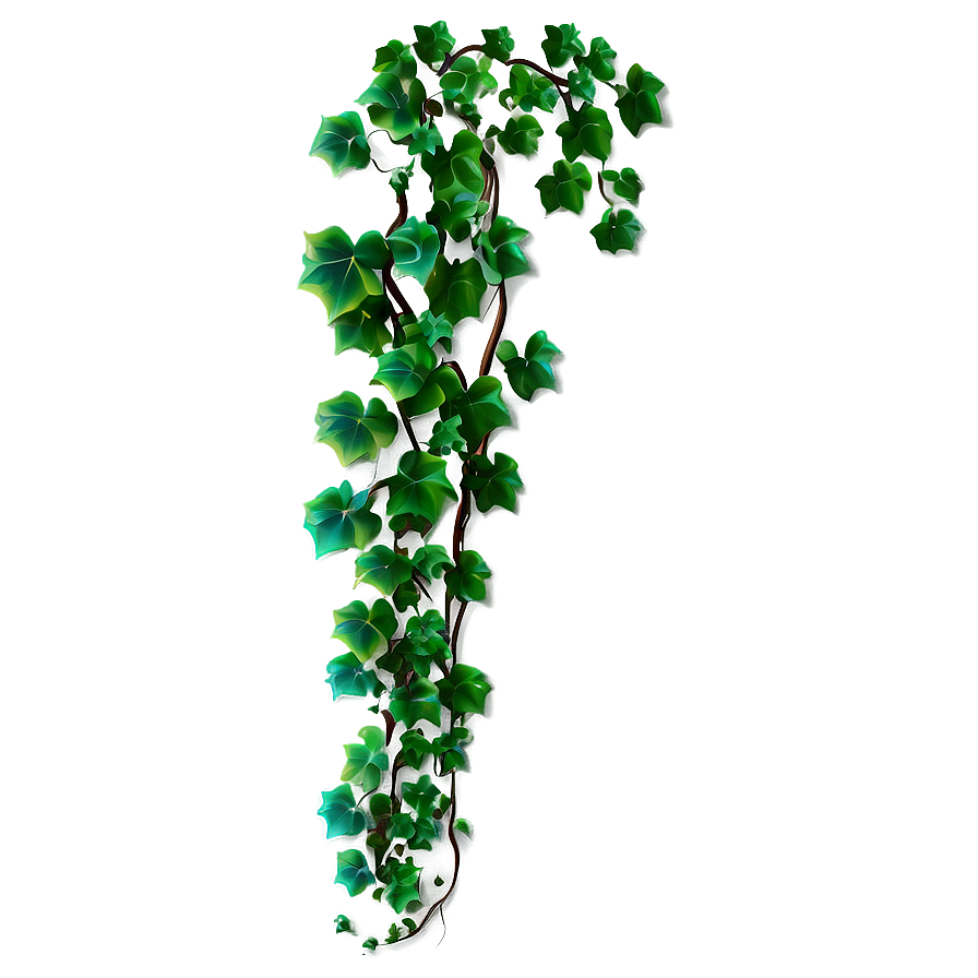 Climbing Ivy Vine Png Eqq19