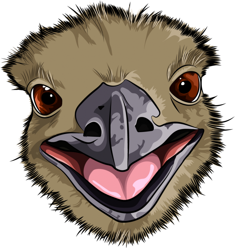 Close Up Cartoon Emu Face