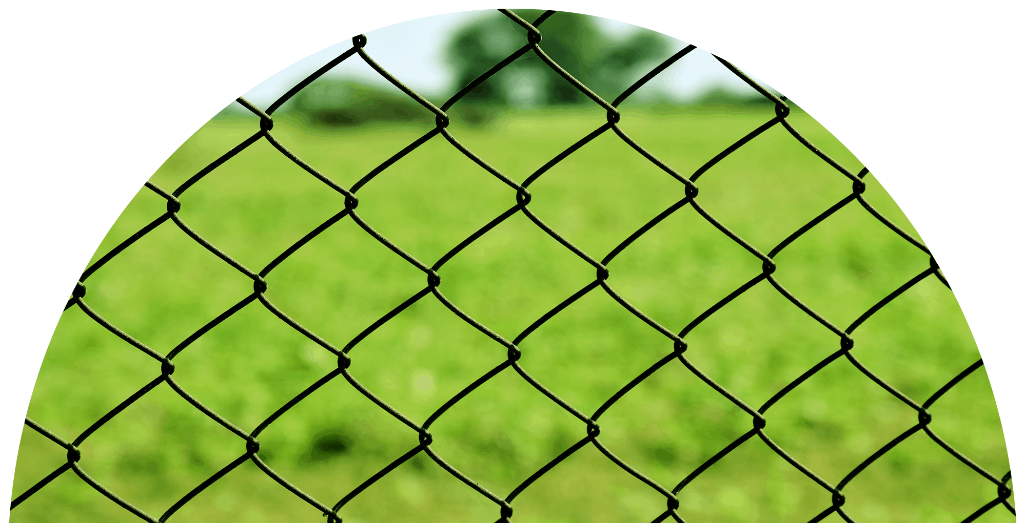 Close Up Chain Link Fence Green Background