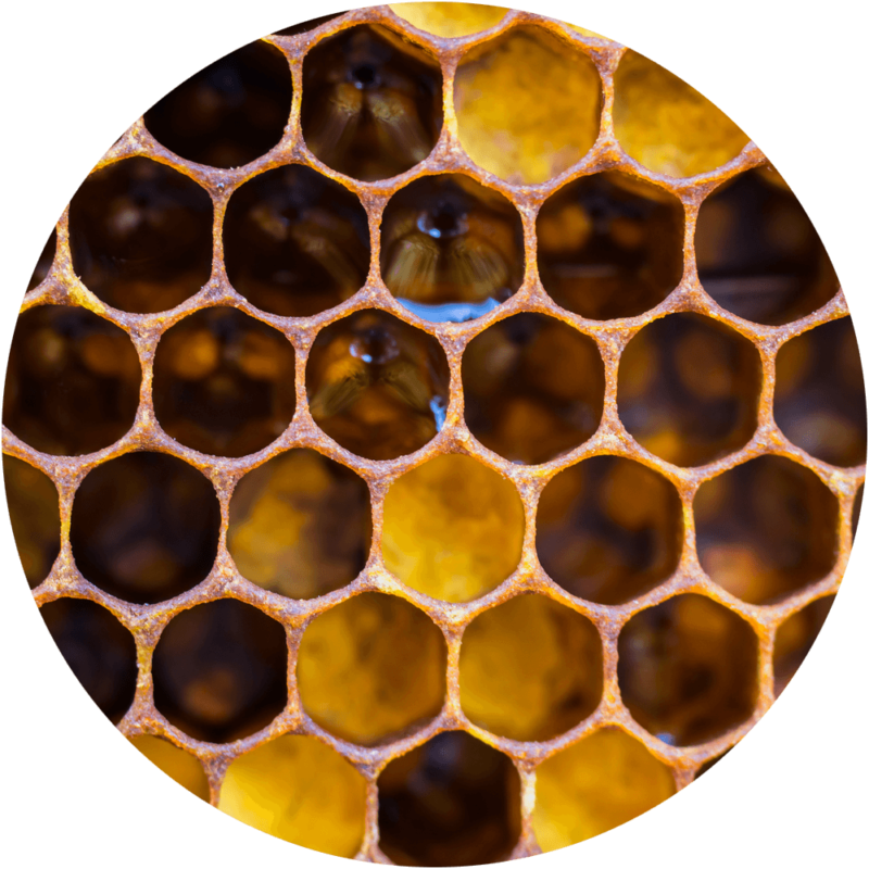 Closeup Honeycomb Texture