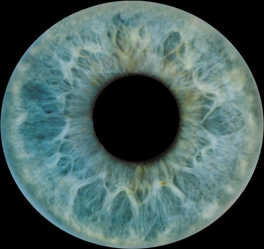 Closeup Human Iris Texture