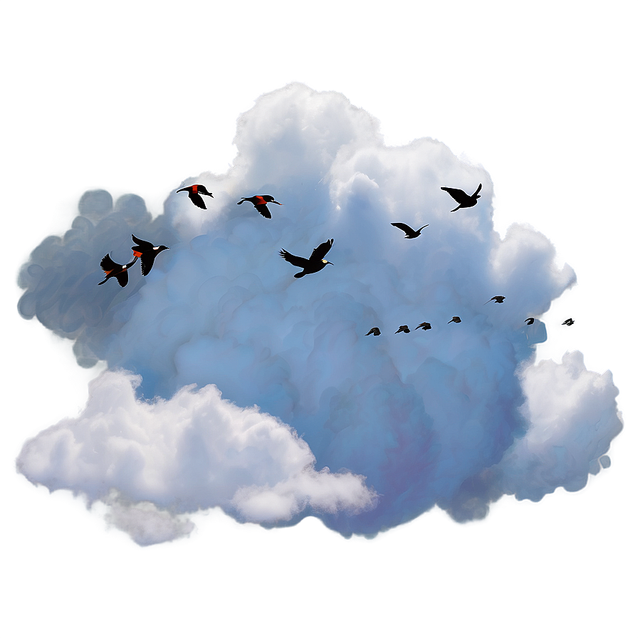 Clouds With Birds Png 46