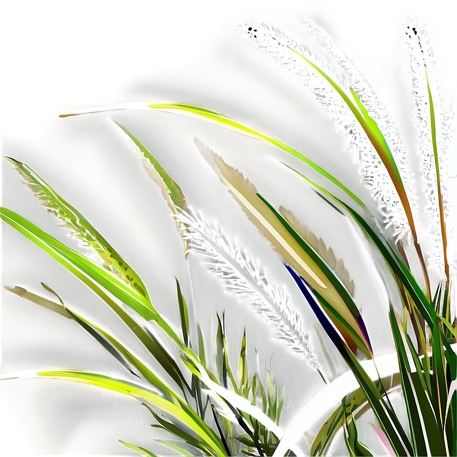 Coastal Ornamental Grass Png Xfs