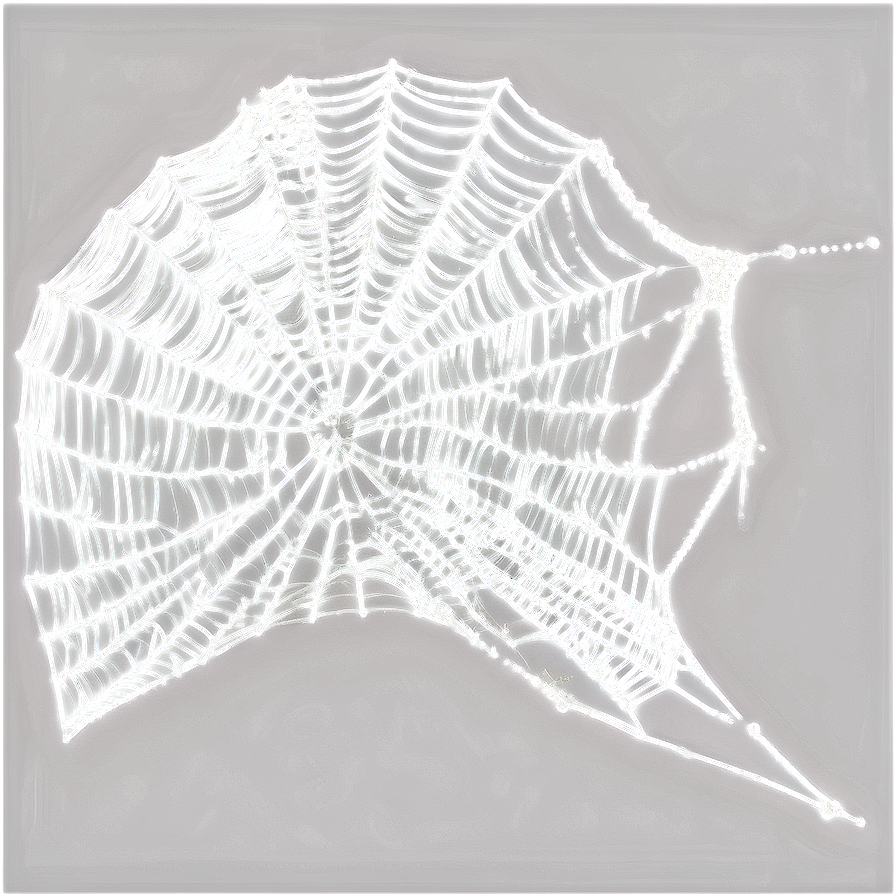 Cobweb Overlay Png 06132024