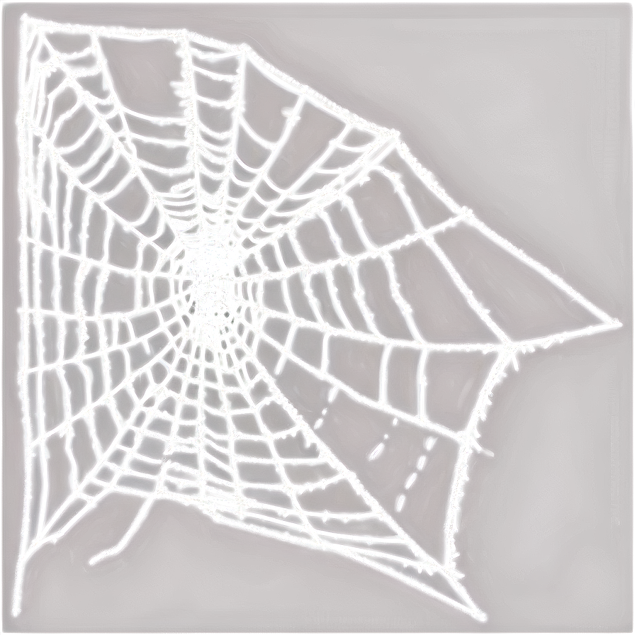 Cobweb Overlay Png 21