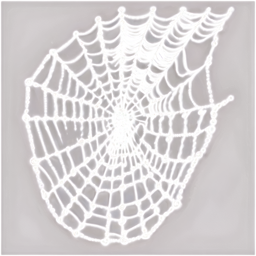 Cobweb Pattern Png 30