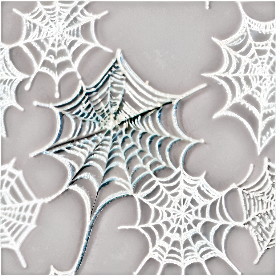 Cobwebs D