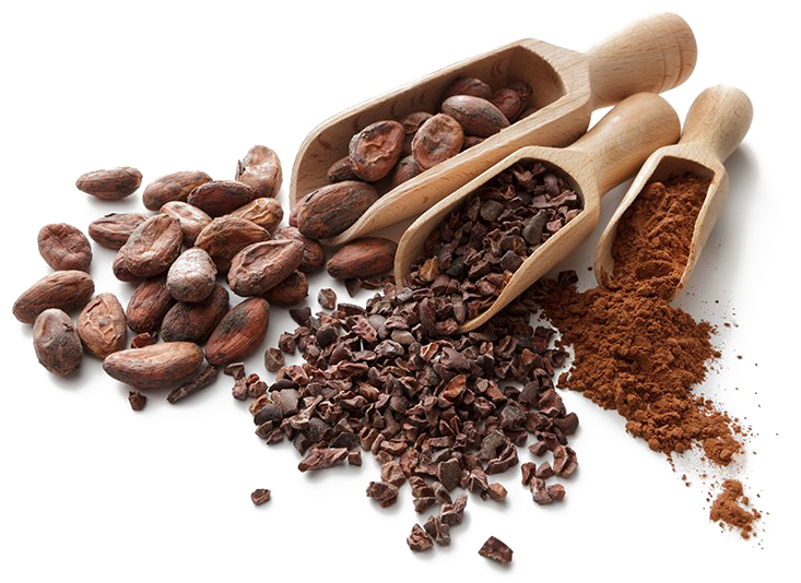 Cocoa Beansand Products