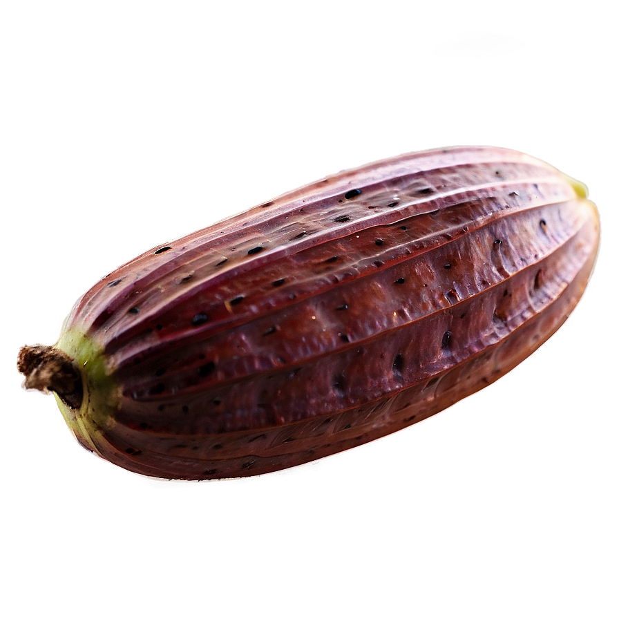 Cocoa Pods Harvest Png Gal71