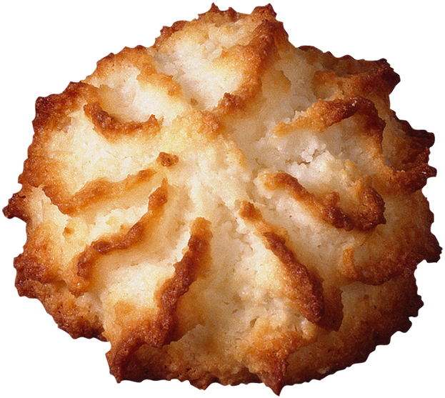 Coconut Macaroon Closeup