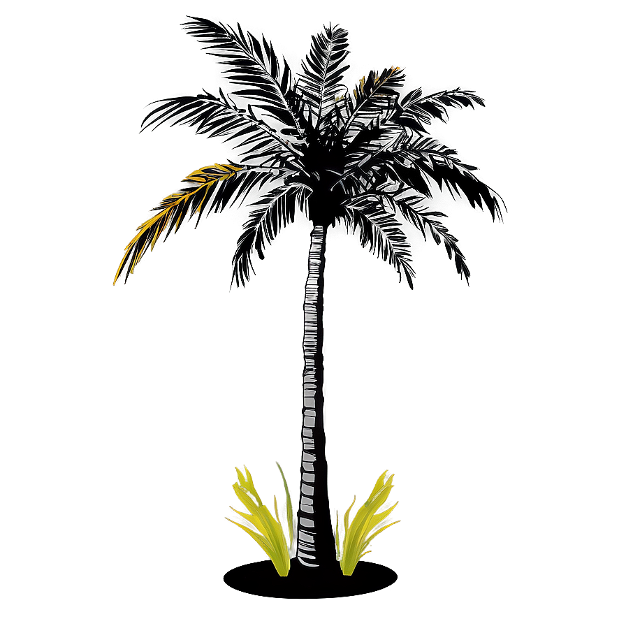 Coconut Tree Shadow Png 06202024