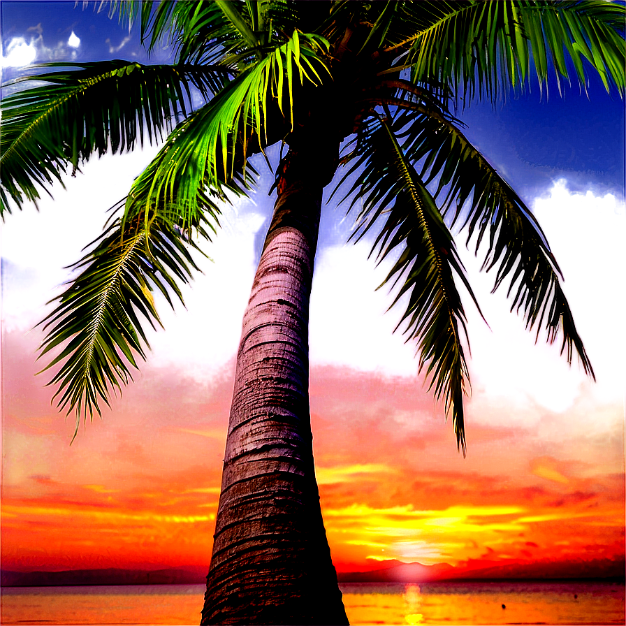 Coconut Tree With Sunset Background Png Pvy82