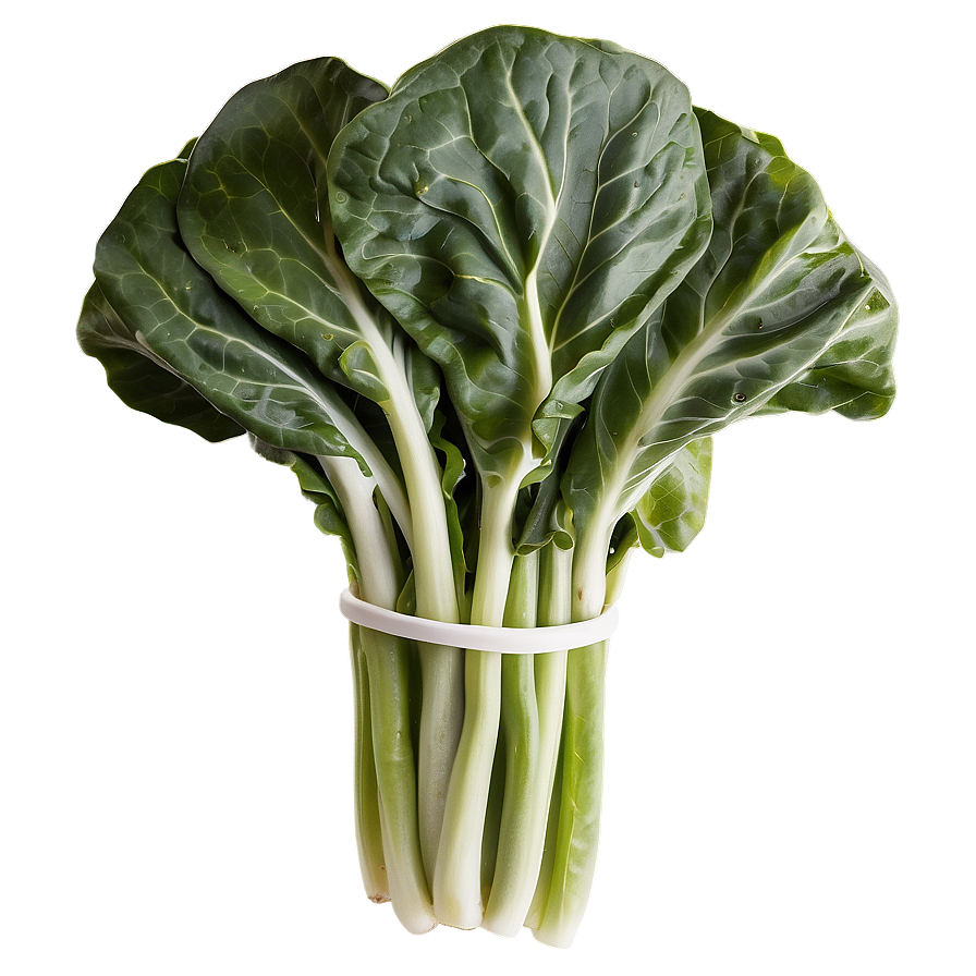 Collard Greens Clipart Png 06252024