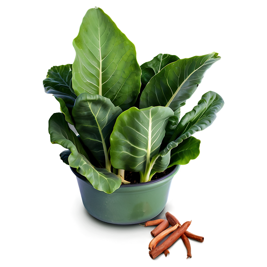 Collard Greens In Pot Png 06252024