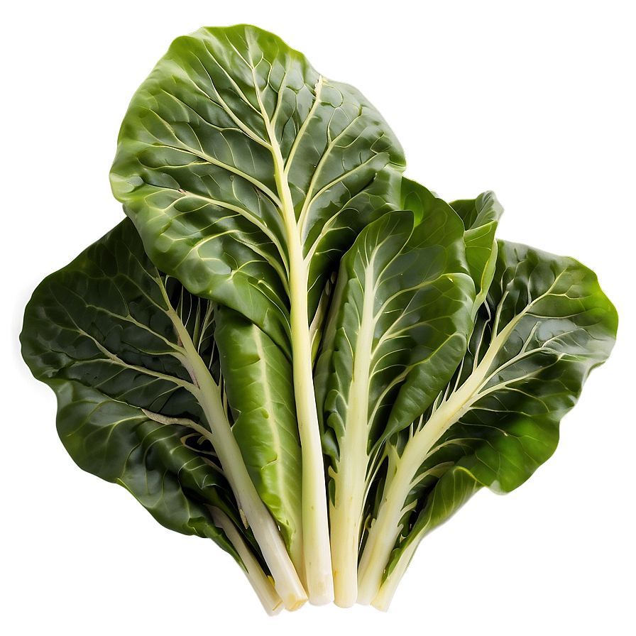 Collard Greens Salad Png Cad