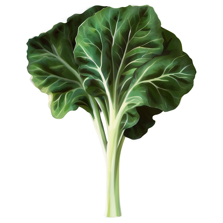 Collard Greens Vector Png 06252024