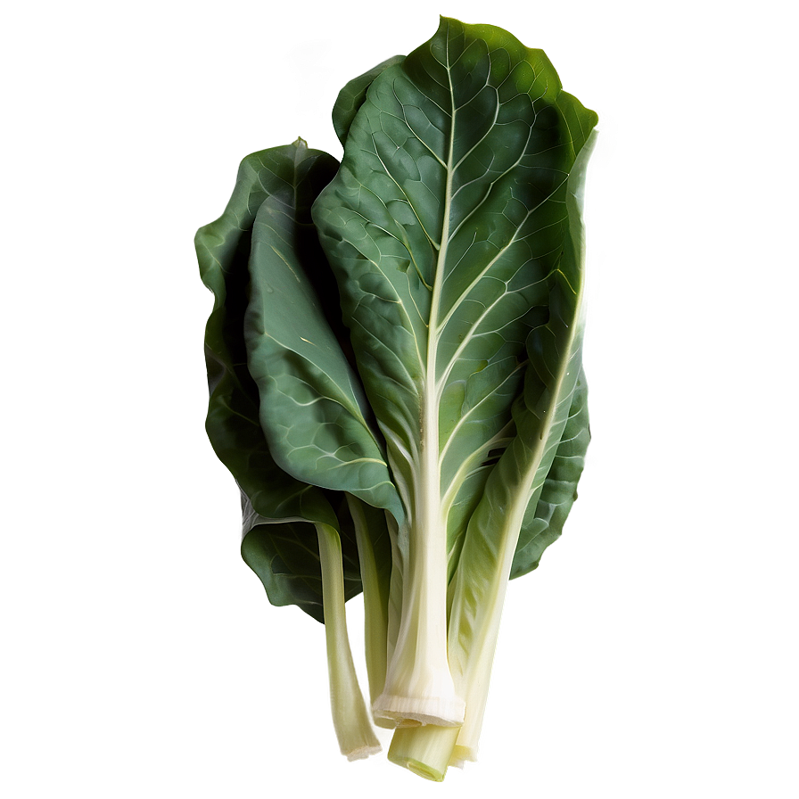 Collard Greens Vector Png Nls