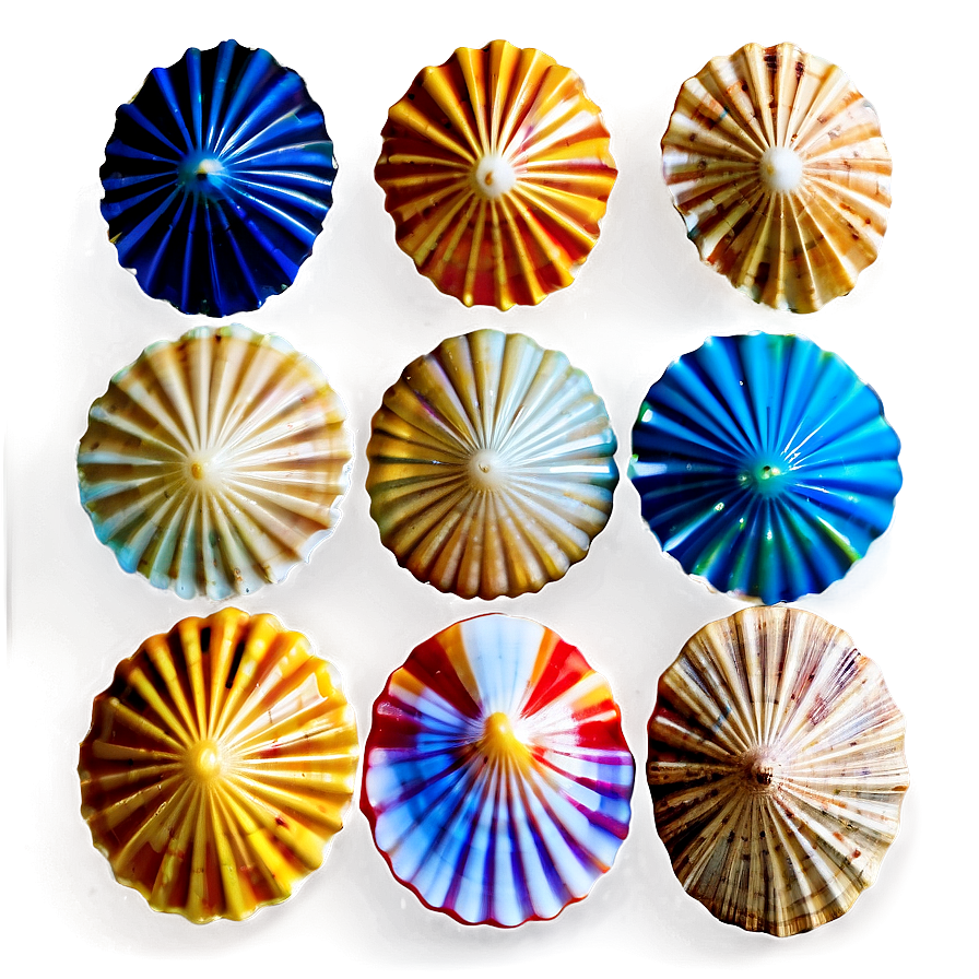 Color Sorted Shells Png 12