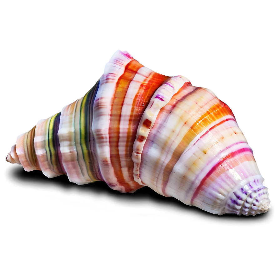 Colored Conch Shell Png 06132024