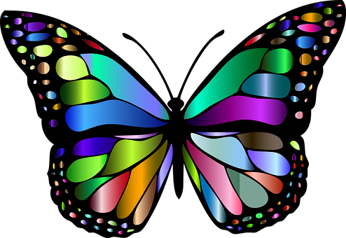 Colorful Abstract Butterfly