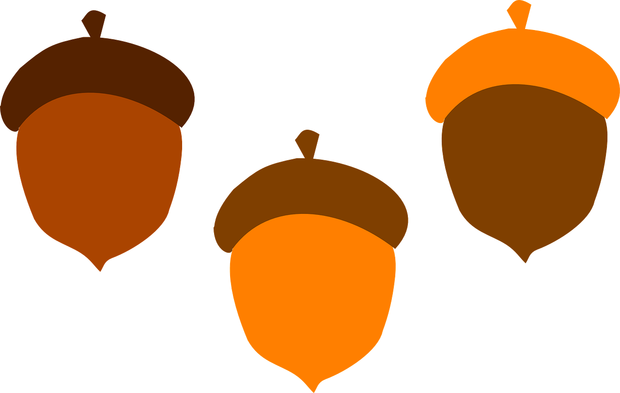 Colorful Acorn Trio