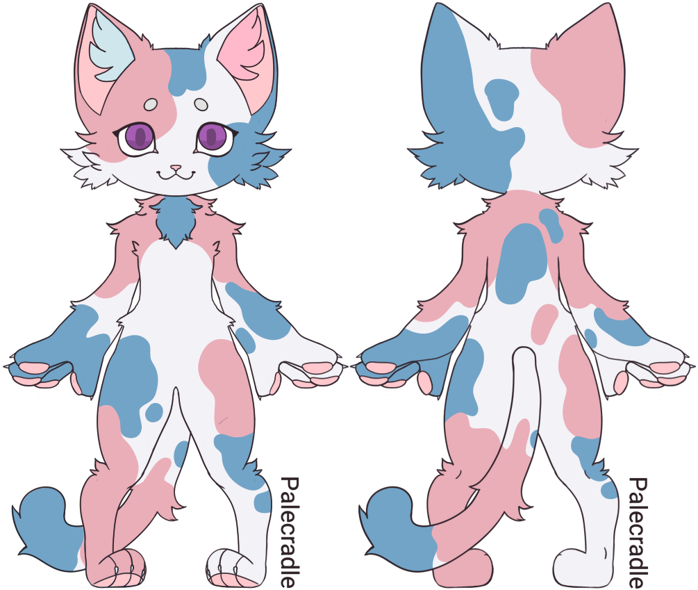 Colorful Anthro Cat Character Design