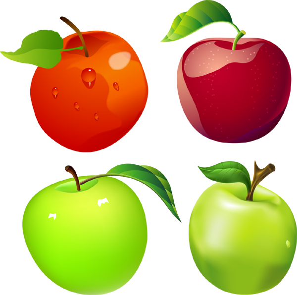 Colorful Apples Variety Illustration