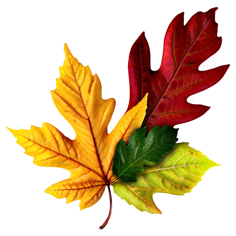 Colorful Autumn Leaf Mix Png Jod