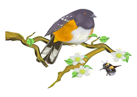 Colorful_ Bird_on_ Branch_with_ Flowers_and_ Insect