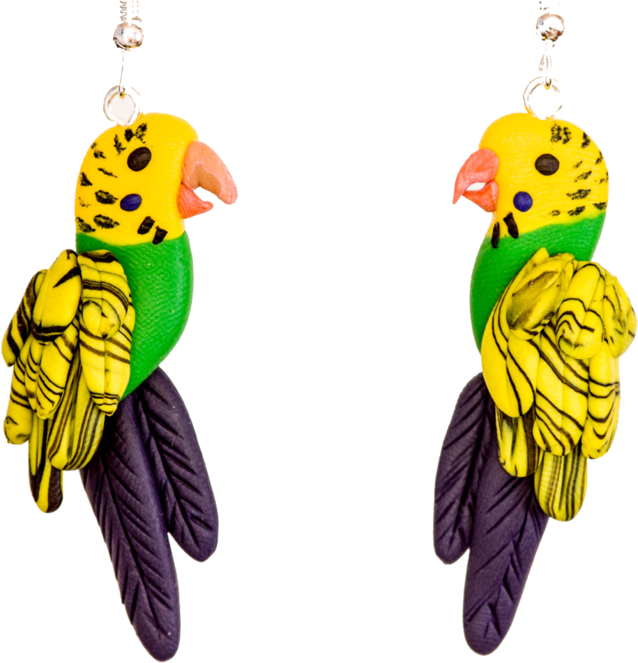 Colorful Budgie Earrings Transparent Background