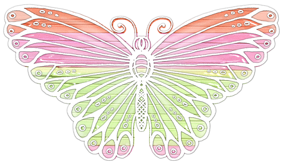 Colorful Butterfly Illustration