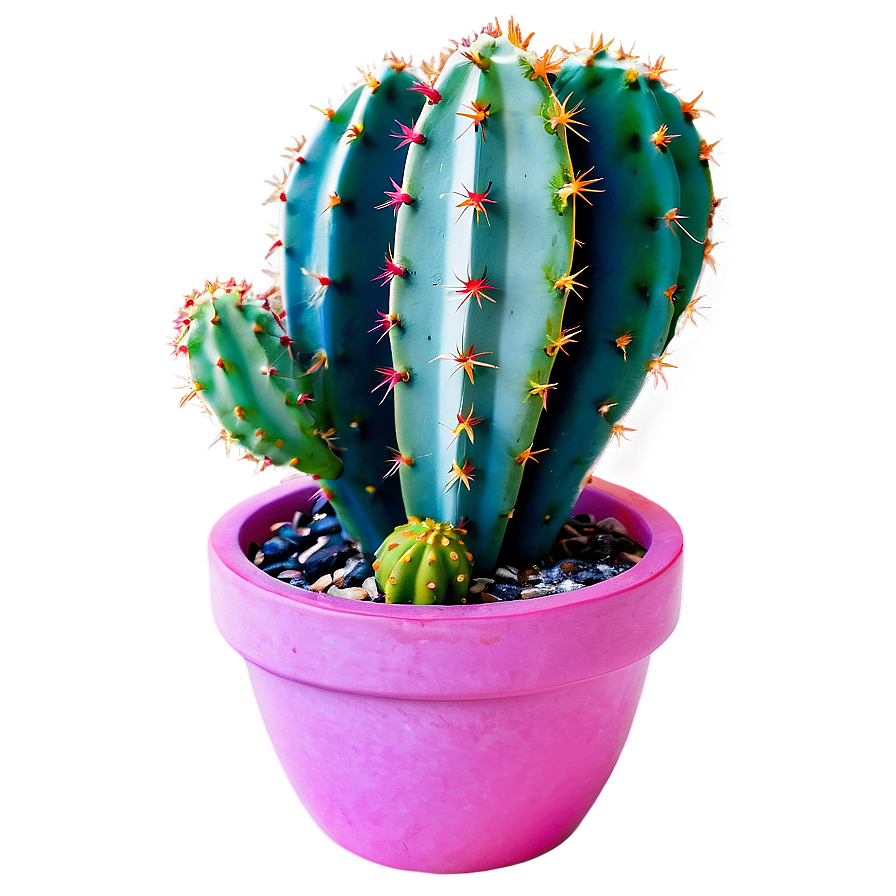 Colorful Cactus Png 10