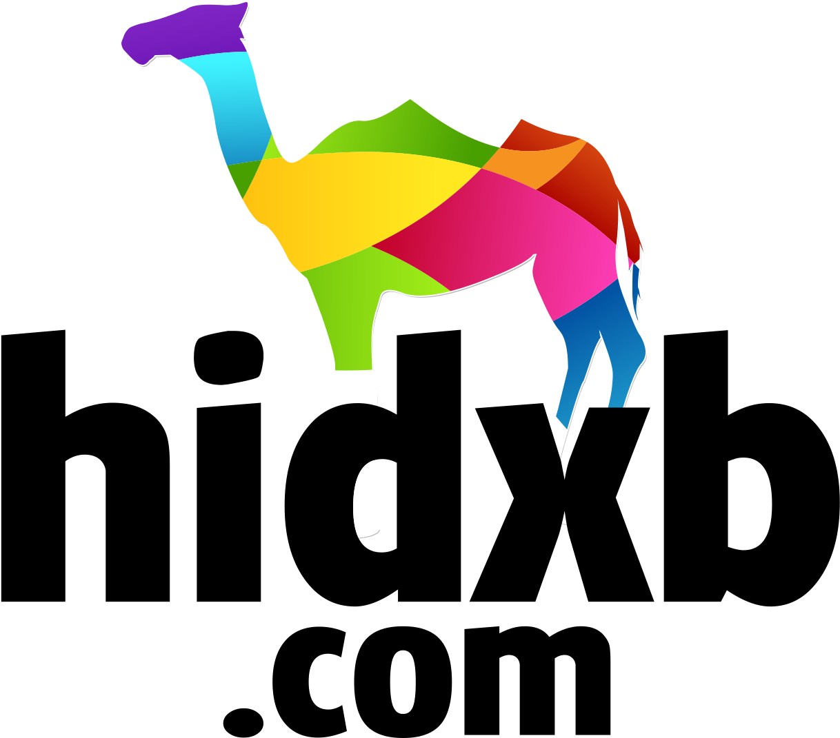 Colorful Camel Logo