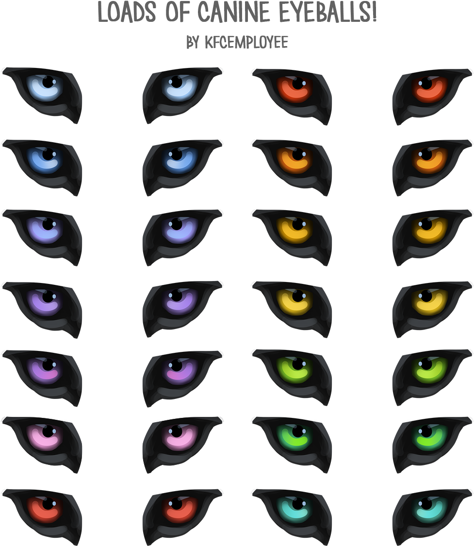 Colorful_ Canine_ Eyes_ Collection