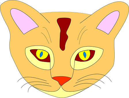 Colorful Cartoon Cat Face