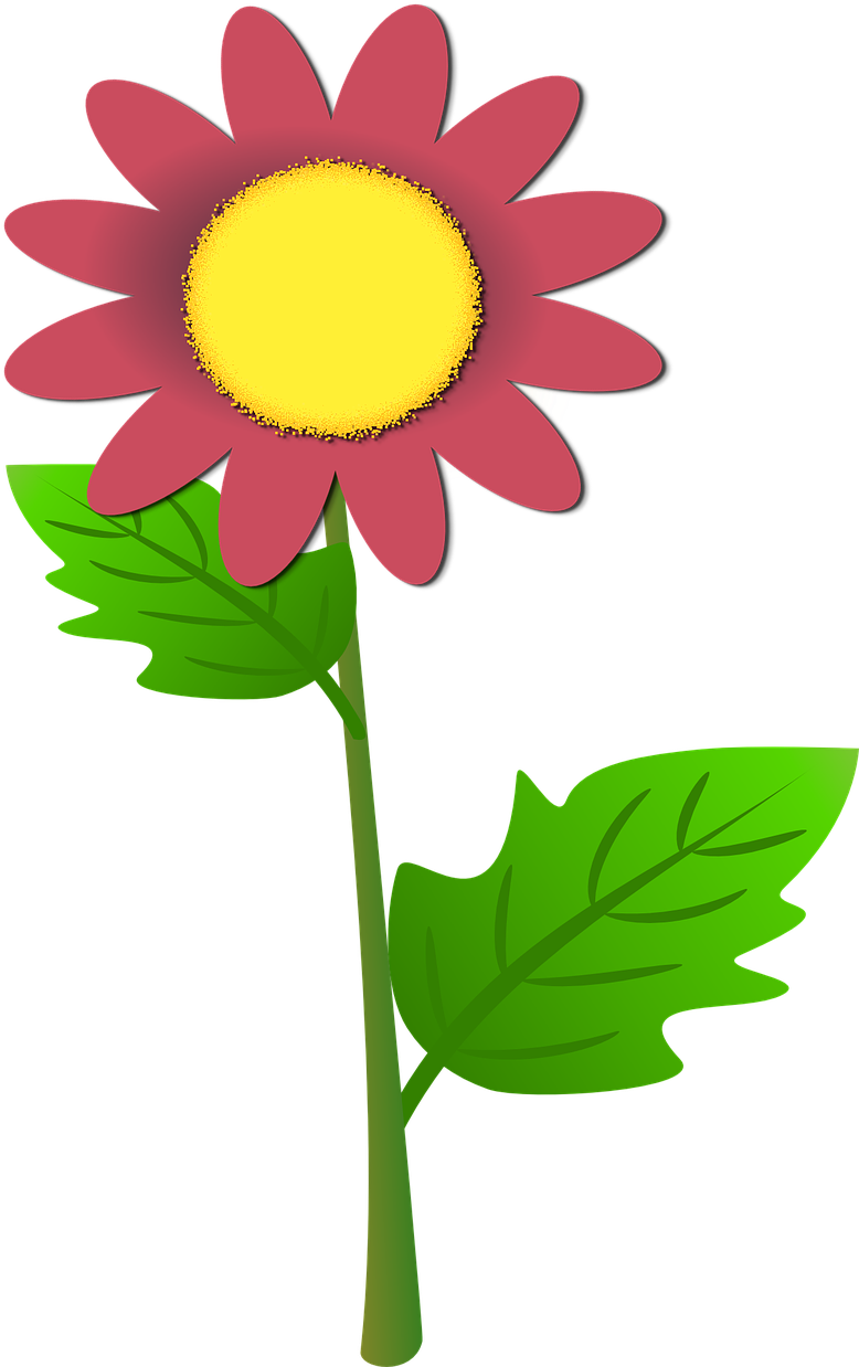 Colorful Cartoon Flower