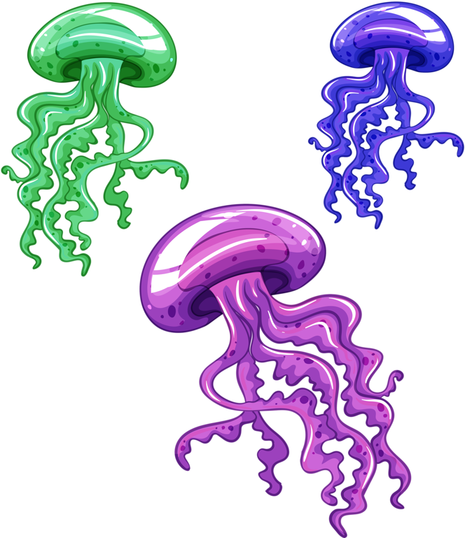 Colorful Cartoon Jellyfish Illustration