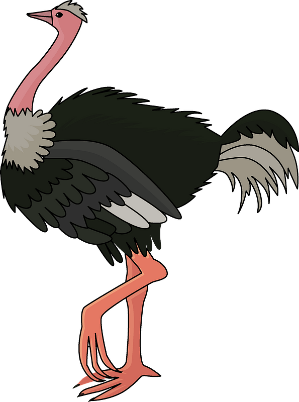 Colorful Cartoon Ostrich