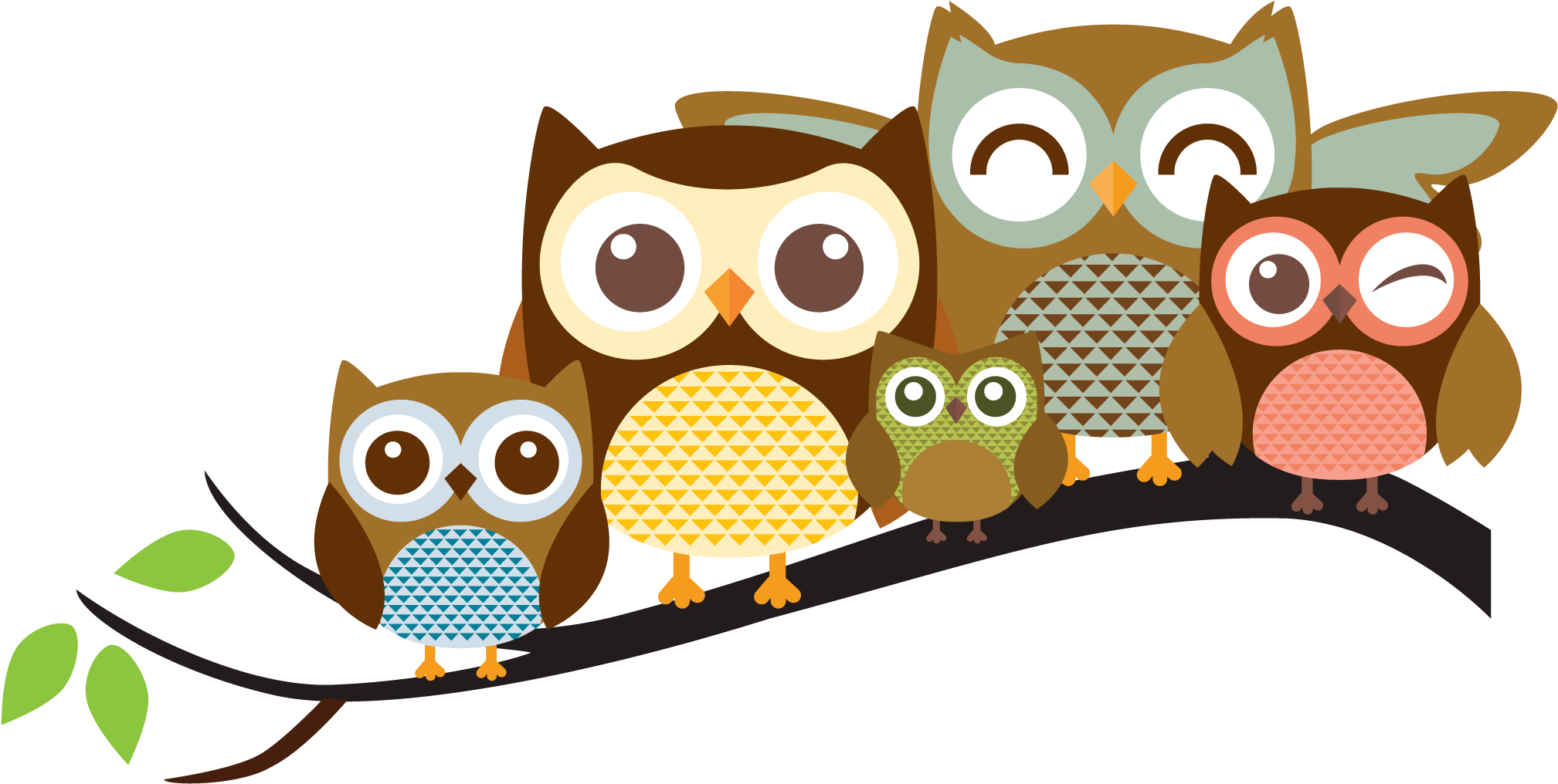 Colorful Cartoon Owls Branch